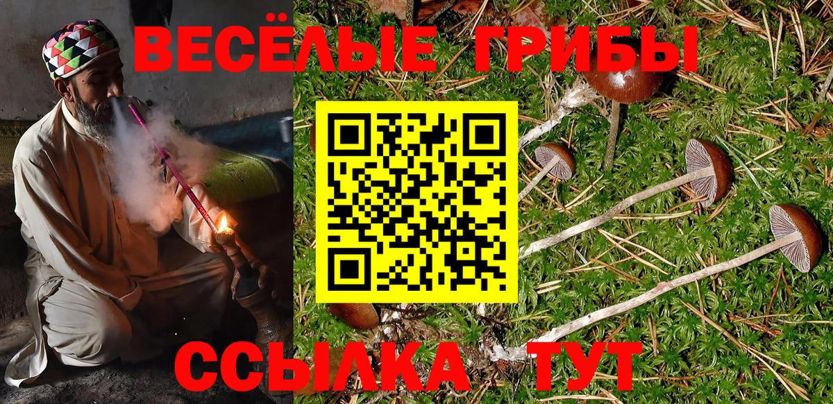 Псилоцибиновые грибы Psilocybine cubensis  Вход с VPN  Псилоцибиновые грибы мицелий  Салават 